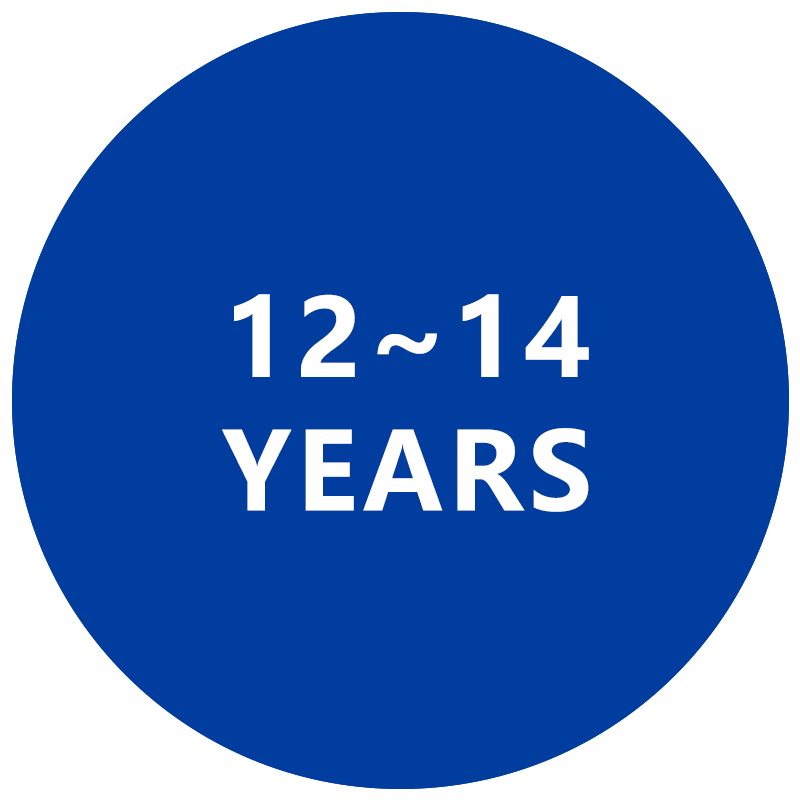 12 - 14 Years Toys
