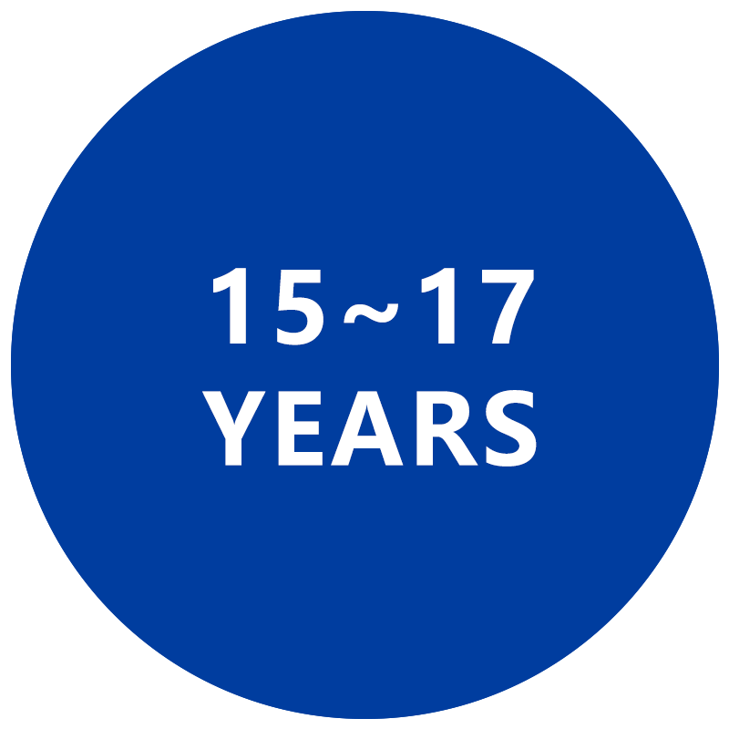 15 - 17 Years Toys