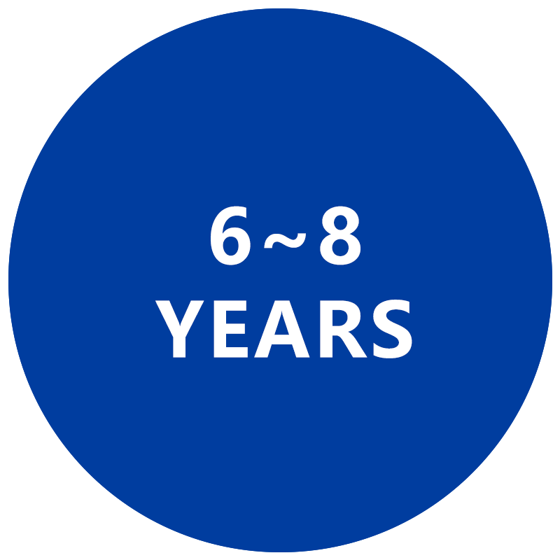 6 - 8 Years Toys