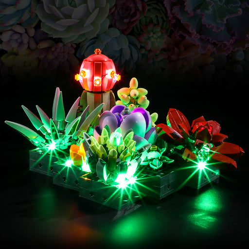 BOOZUU Light Kit For Succulents 10309