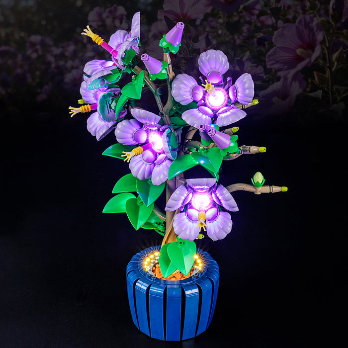 Light Kit for Hibiscus 10372