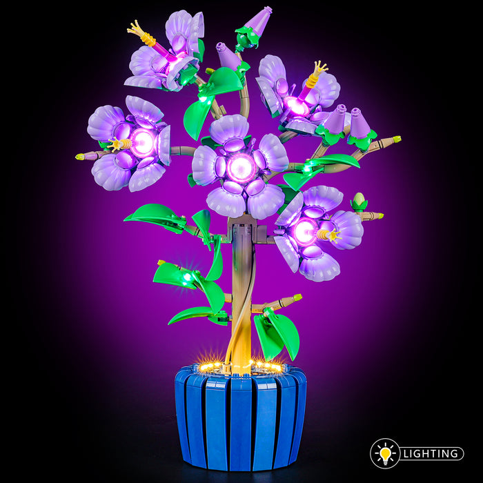 Light Kit for Hibiscus 10372