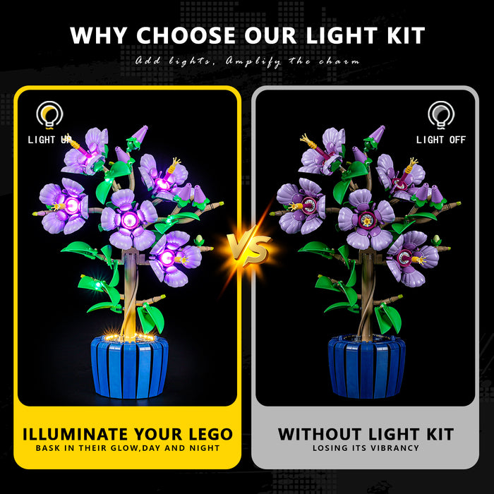 Light Kit for Hibiscus 10372