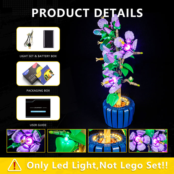 Light Kit for Hibiscus 10372