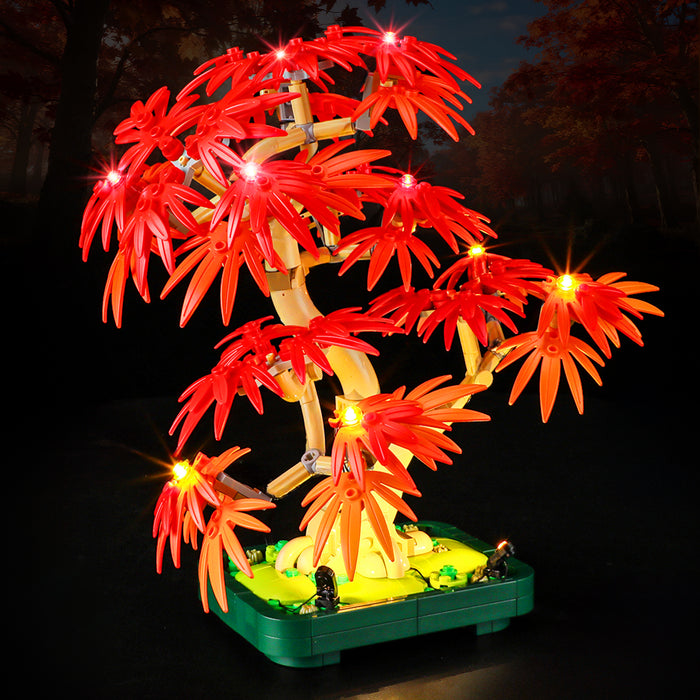 Light Kit for Japanese Red Maple Bonsai Tree 10348