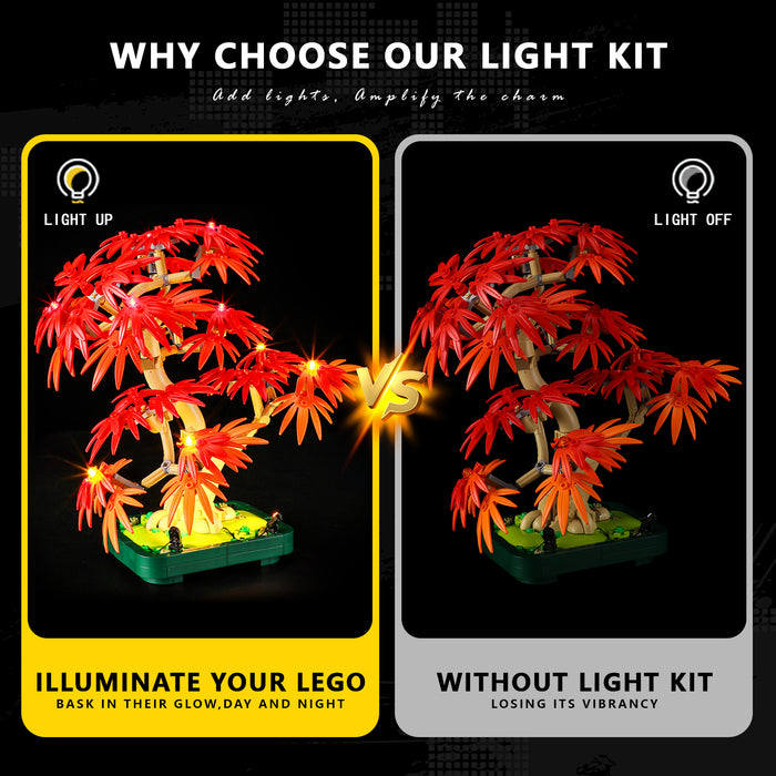 Light Kit for Japanese Red Maple Bonsai Tree 10348