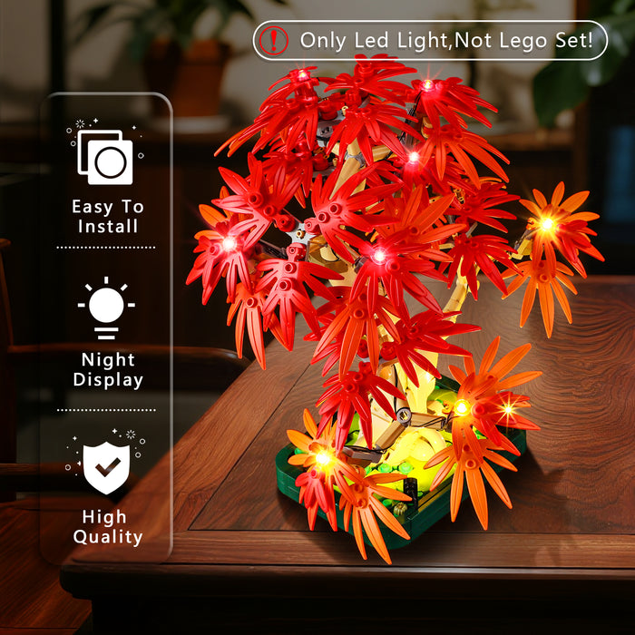 Light Kit for Japanese Red Maple Bonsai Tree 10348