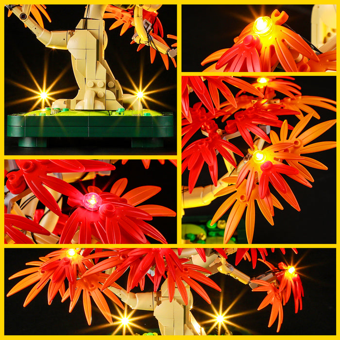 Light Kit for Japanese Red Maple Bonsai Tree 10348