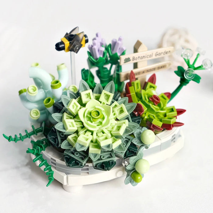 Succulent Cactus