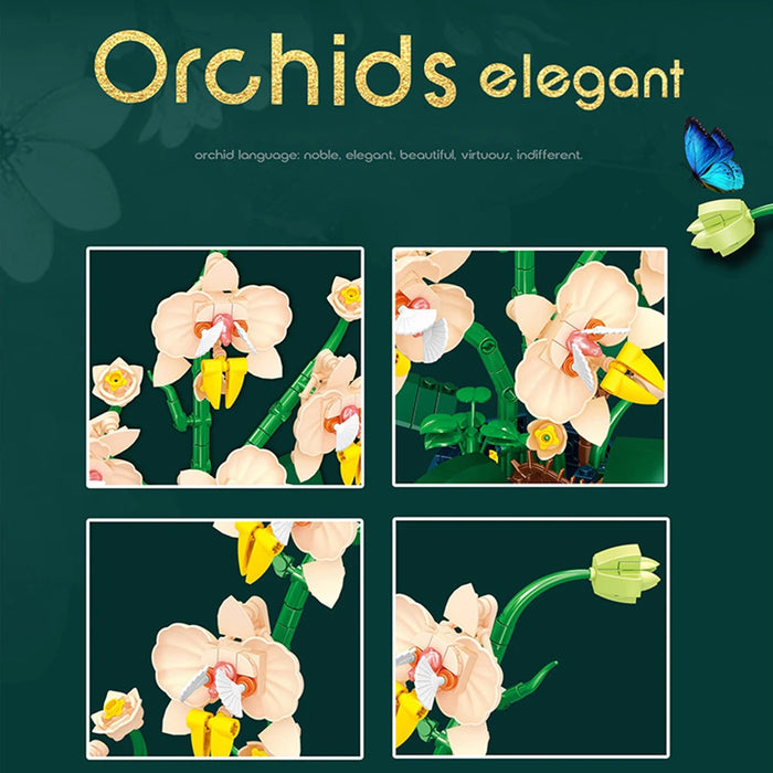 Orchid