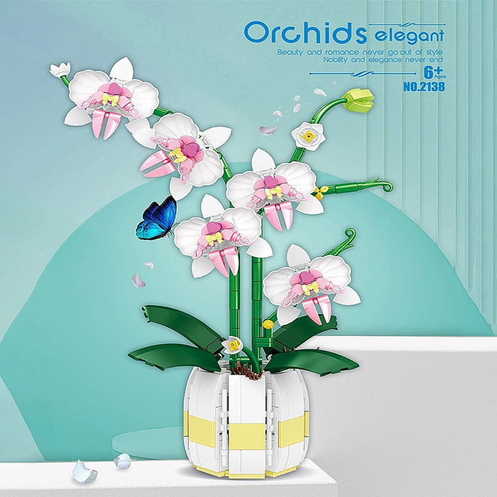 Orchid