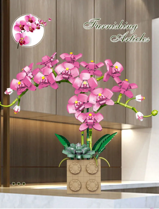 Orchid Series