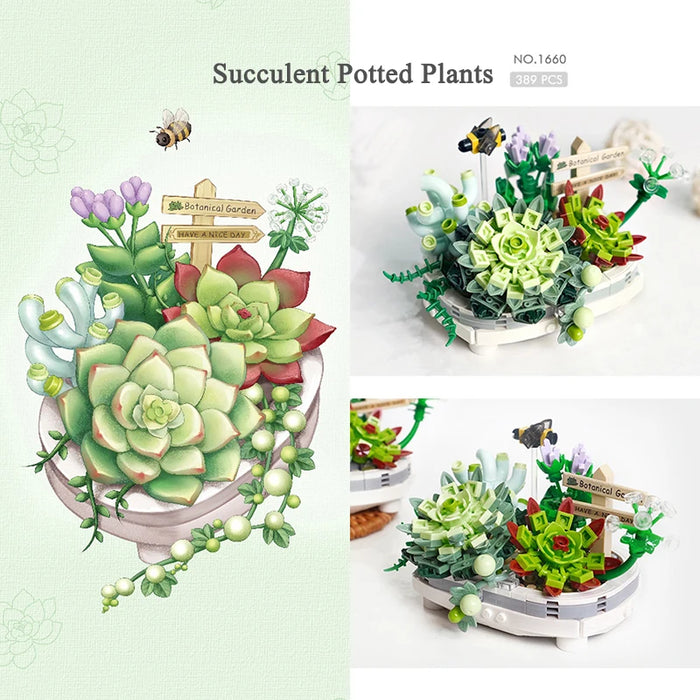 Succulent Cactus