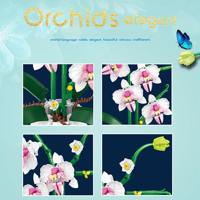 Orchid