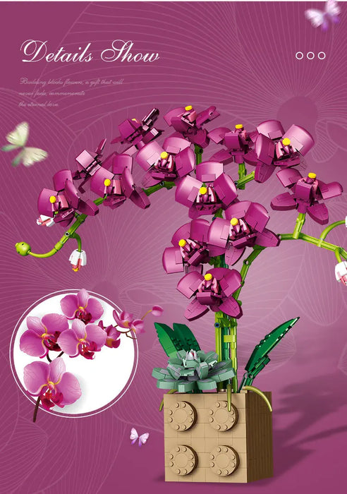 Orchid Series