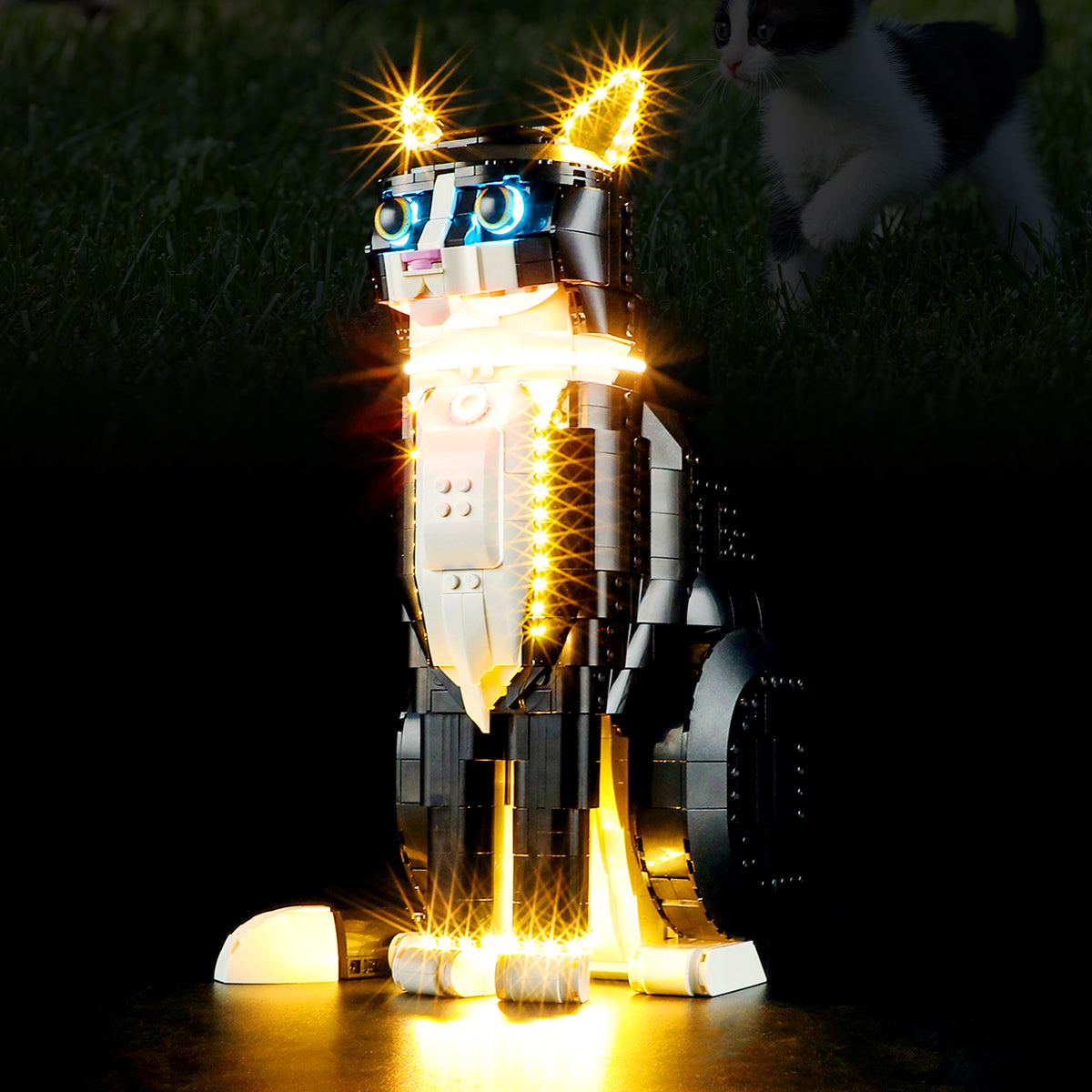 BOOZUU Light Kit for Lego-21349 Tuxedo Cat - Compatible with Lego