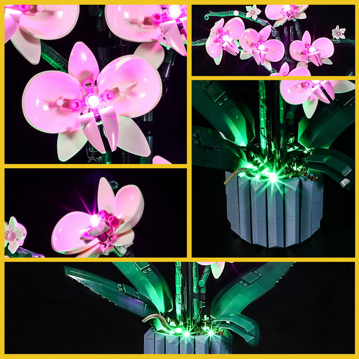 BOOZUU Light Kit For Orchid 10311